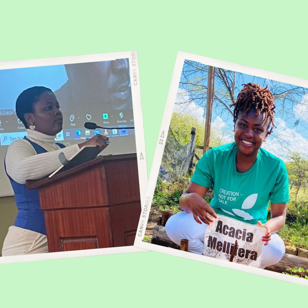 Climate- Youth Ecumenical Summit tweet media