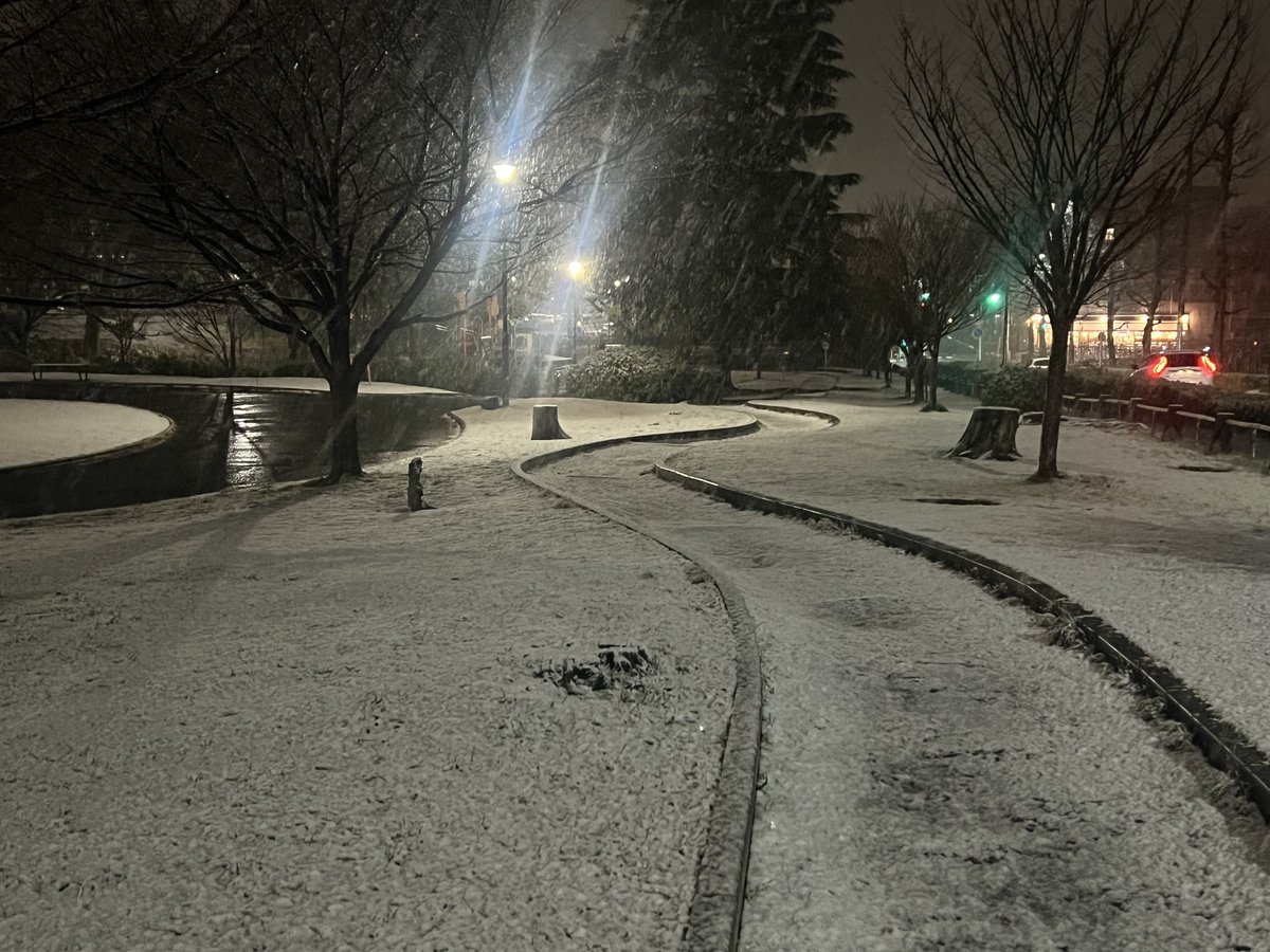 RCF_CCSP's tweet image. 雪やばい笑☃️
明日道路大丈夫かな😅
#lexusF