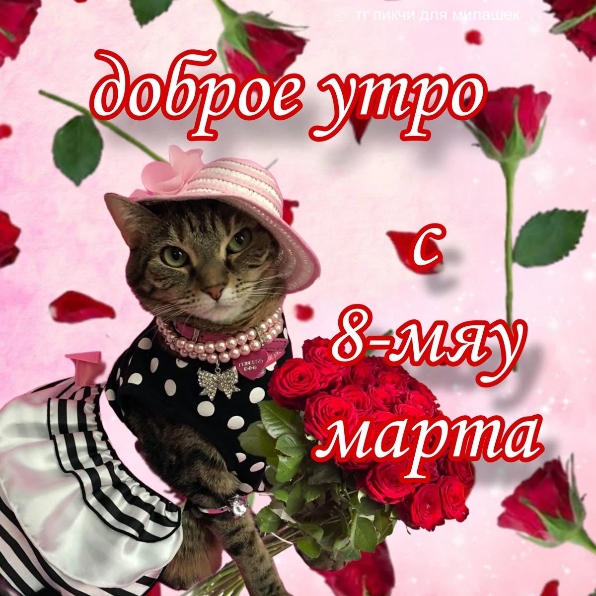 милые дамы хочу поздравить нас с нашим днем 💐💐💐💐✨✨✨✨