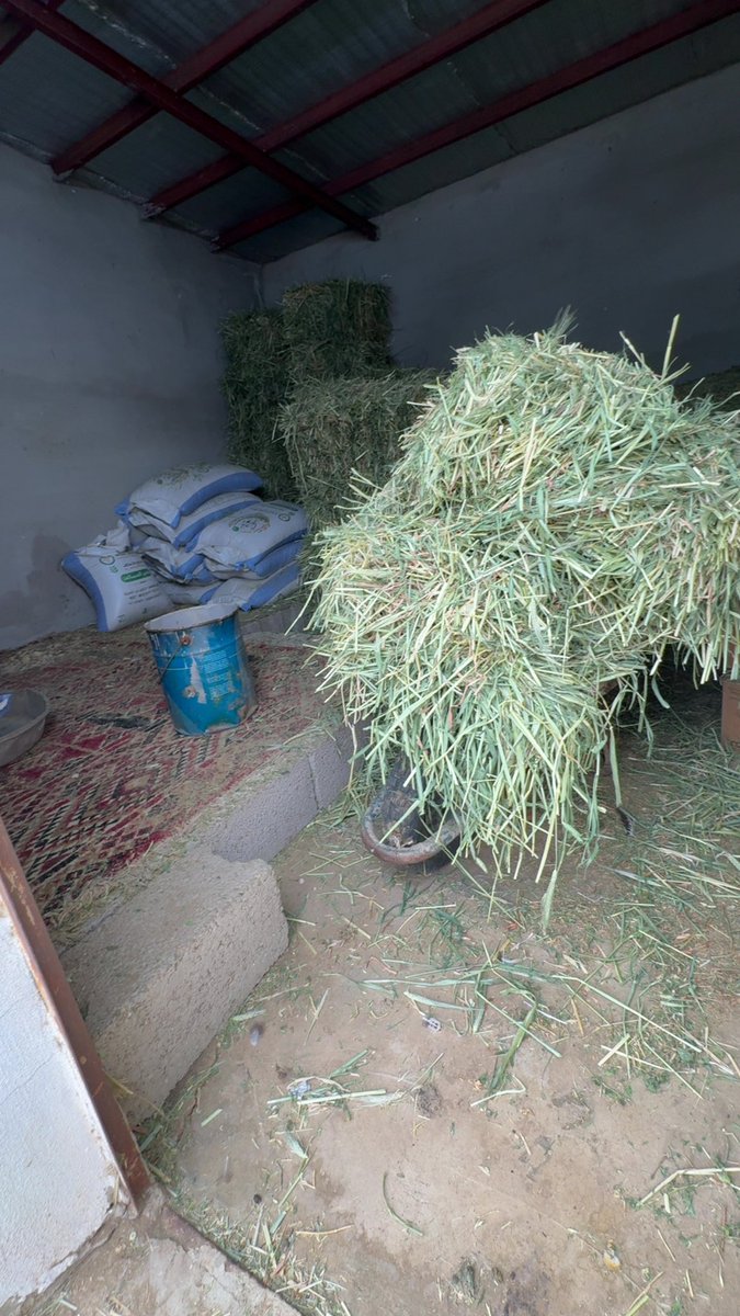 احد اسباب ابتعادي عن برنامج x "ظروف العمل