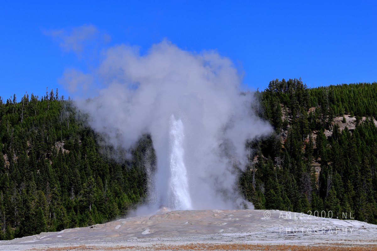 amir2000's tweet photo. An iconic display of #nature’s power at #OldFaithful This legendary #geyser never fails to impress in #YellowstoneNationalPark #Wyoming’s geothermal magic #USA #GeyserEruption #ScenicWonders #NatureAtItsBest #ExploreMore #LandscapePhotography #Canon #R5Mark2 #R5MarkII 📷 2/3 https://t.co/I81Unyaadu