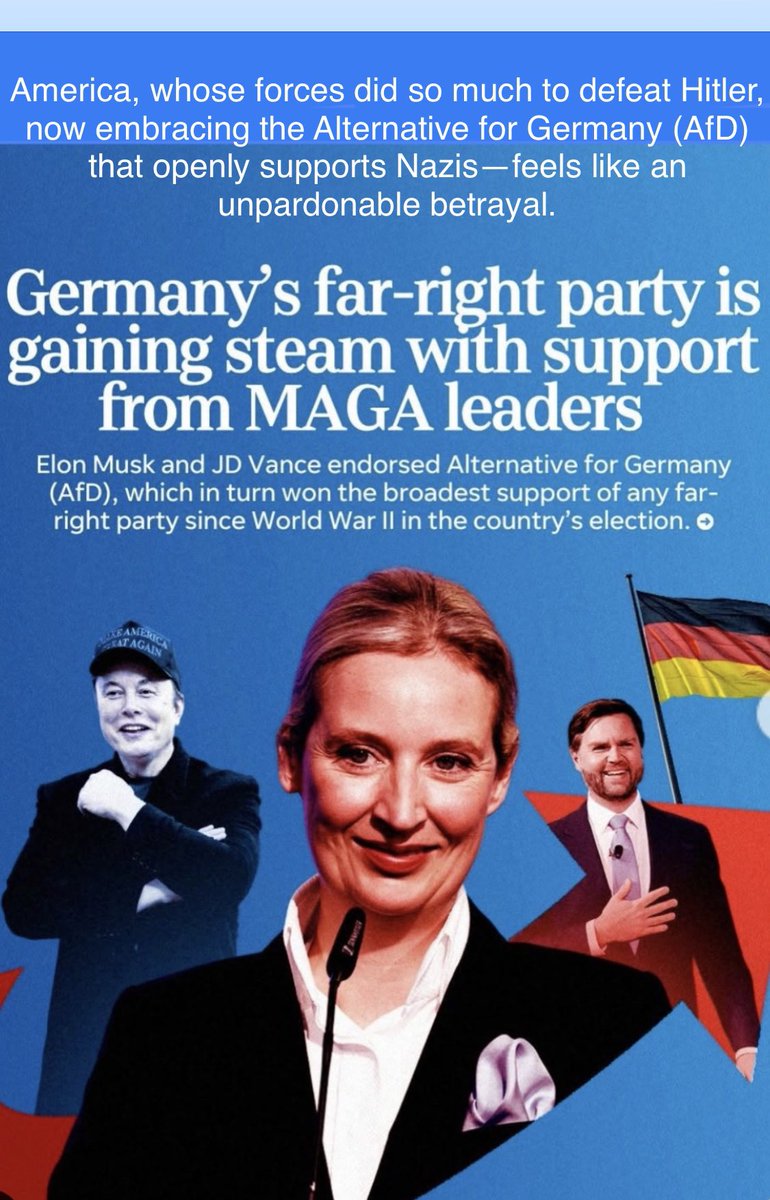 Germans are sicken that America, whose forces did so much to defeat Hitler, have embraced the Alternative for Germany (AfD) that openly supports Nazis—is an unpardonable betrayal. Musk speaking at their rally, Vance meeting with their leader—shows America making a terrible shift.