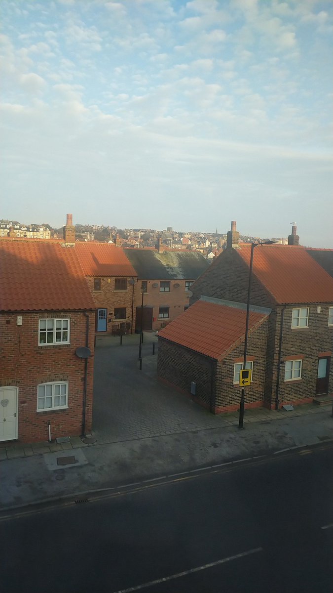 Donna Wood tweet media