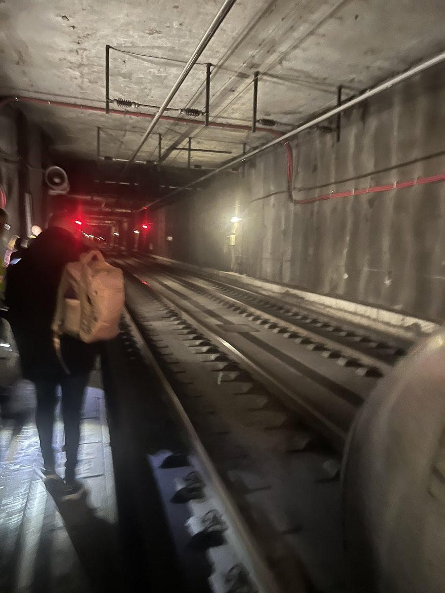 Marc Beà i Pardo tweet media