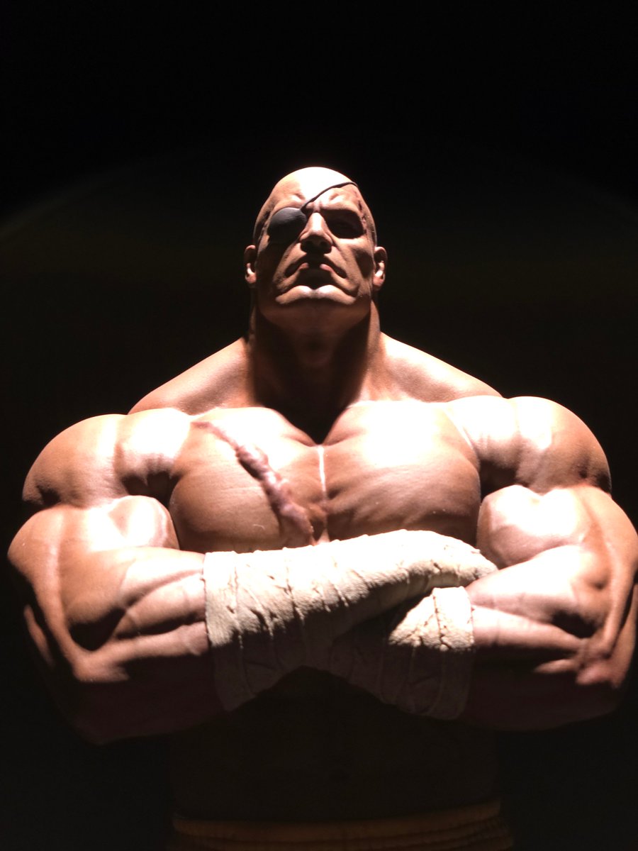 1/7 Street Fighter2 ”Sagat“ 3d modeling @ed_pantera_3d 3d printing @gluck_3dprinting_art Painting @kimyongkyu6413 -Personal Collection- #capcom#株式会社カプコン#streetfighter2 #cammy #ryu #ken #dhalsim #zangief #chunli #guile #honda #blanka #balrog #vega #sagat #bison #gouki