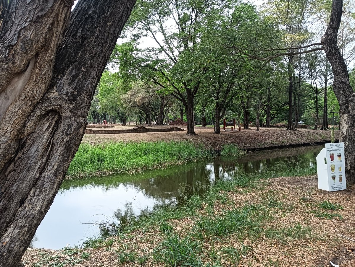 จบที่กาแฟ ง่ายๆ สบายๆ 🌿🌳🍃
#อยุธยา ☕