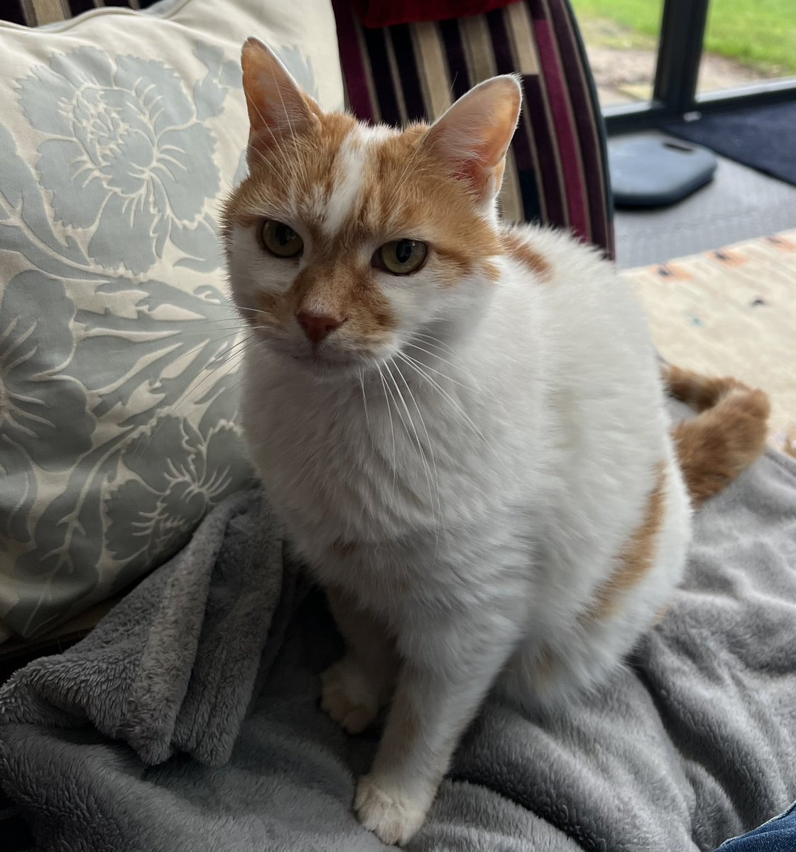 It’s my birthday today! I am 14 and doing well!