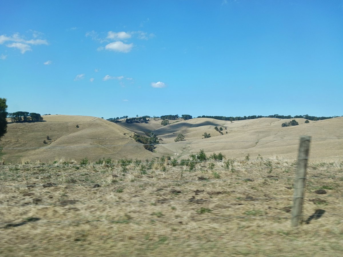 Gill O'Sullivan tweet media