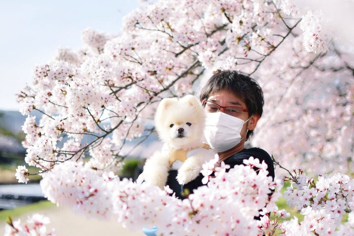 もうすぐ春です
一番好きな季節だったね🐶🙂

チャッピーと桜を見に行くと天国にいるみたいでした🌸

月命日🌈