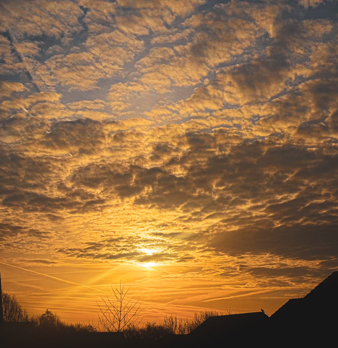 Good morning from #cwmbran 🌤️ <a href="/ThePhotoHour/">#ThePhotoHour</a> <a href="/S4Ctywydd/">S4C Tywydd</a> <a href="/bbcweather/">BBC Weather</a> <a href="/WalesOnline/">WalesOnline 🏴󠁧󠁢󠁷󠁬󠁳󠁿</a> <a href="/Ruth_ITV/">Ruth_TV</a>