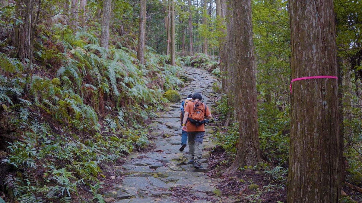 【YouTube更新】
お待たせしました！今回の動画では、熊野古道・馬越峠を歩きます！

そして、動画の中でもお知らせしてますが、今回ガイドしていただいた織家さんの手がける〝元盛松整備ツアー〟にまたまた参加させていただきます！
ぜひ詳細チェックお願いします！

youtu.be/5P6_IQA1blQ?si…