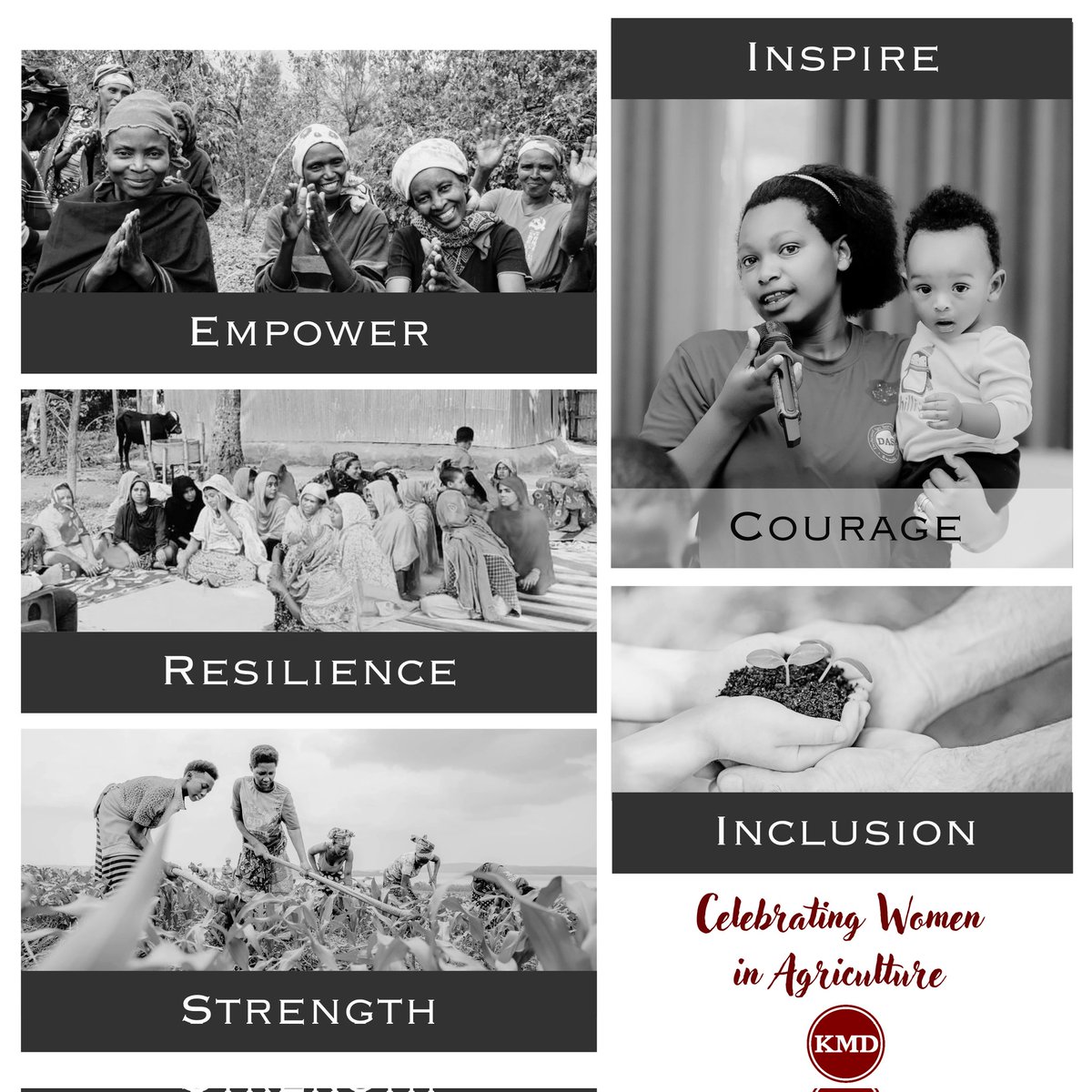 Celebrating Women in Agriculture – International Women’s Day! 

Today, we honor the incredible women shaping the future of agriculture - nurturing the land, feeding communities, and driving sustainability in the face of evolving challenges. Their resilience, innovation, and