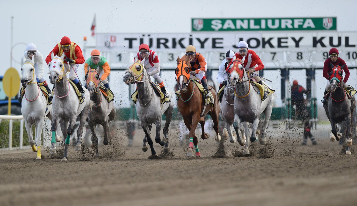 "Hangi yıl, hangi koşu?" 
Zorluk Seviyesi: Üst Düzey