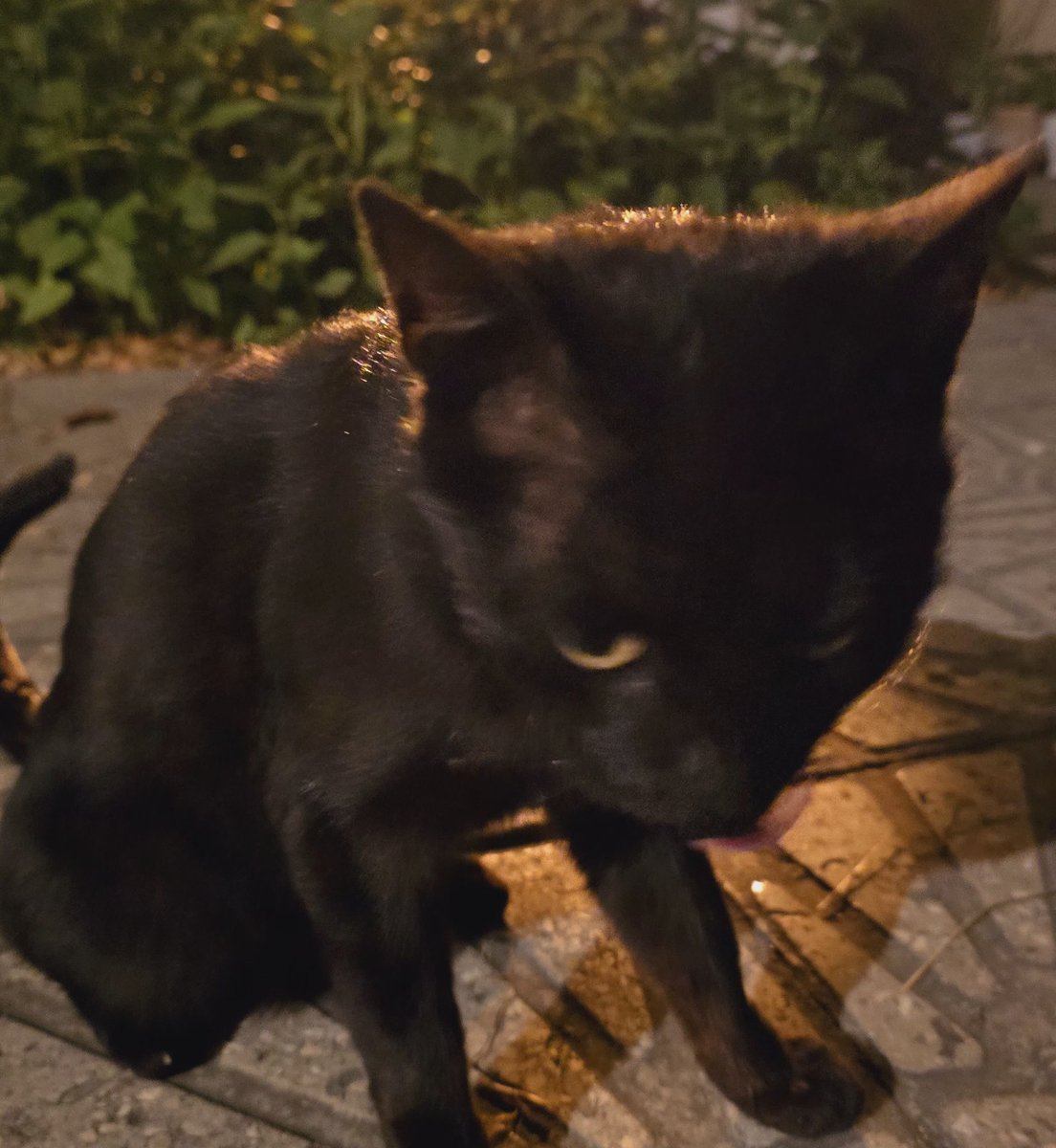 بچه‌ها هر وقت فکر کردید بد عکسید یادتون بیاد ذغال از همه‌تون بدعکس‌تره.