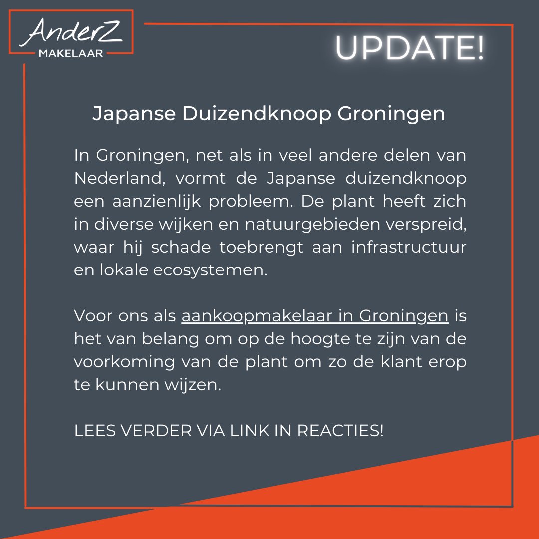 Onlangs scheven we over de Japanse Duizendknoop en de schade die je woning kan ondervinden. Omdat er nieuwe methodes zijn is het blog bijgewerkt. De aandacht neemt toe dus kijk vooral ook even op de interactieve kaart.

#groningen #makelaar #duizendknoop #japanseduizendknoop