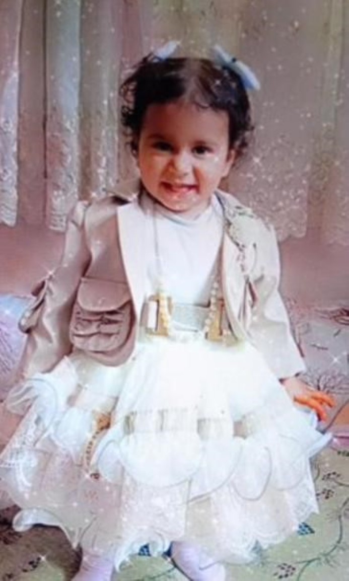 Dün Türkiye'de, 2 yaşındaki bir çocuk 10 sokak köpeğinin saldırısı sonucu hayatını kaybetti.