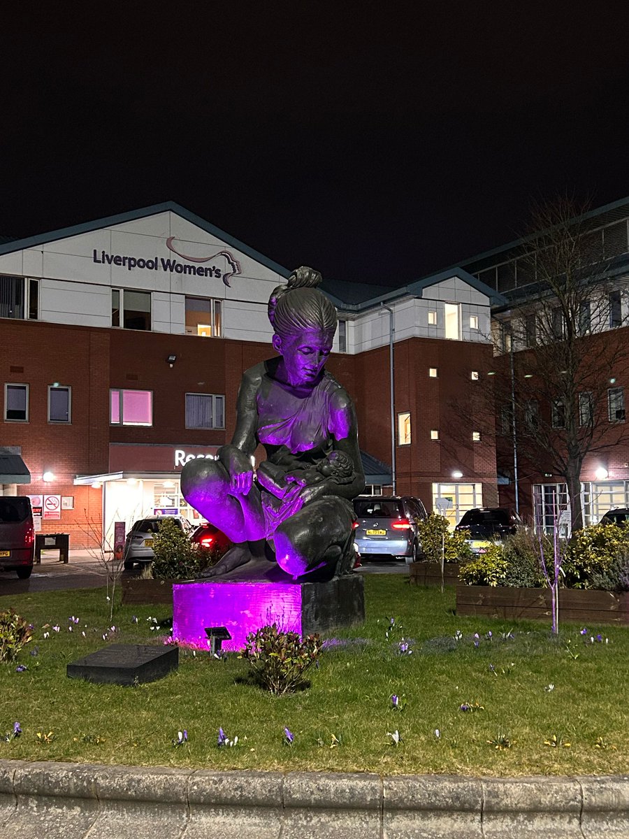 We have lit up purple to celebrate International Women's Day helping to amplify on women’s equality, to celebrate women’s achievements and create community awareness.

Happy International Women’s Day 2025

#IWD2025 #AccelerateAction