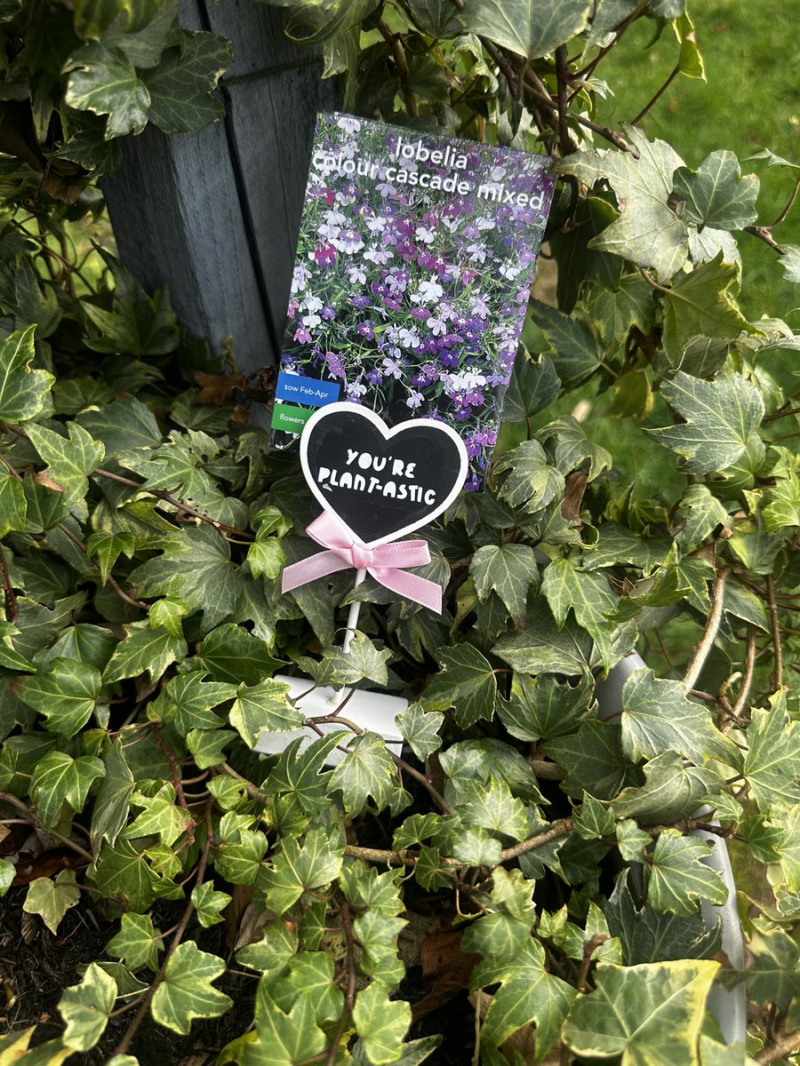 I created these 👇 and whilst I can’t gift my virtual connections one. I can tell you all 
‘YOU ARE PLANT-TASTIC’ on #internationalwomensday