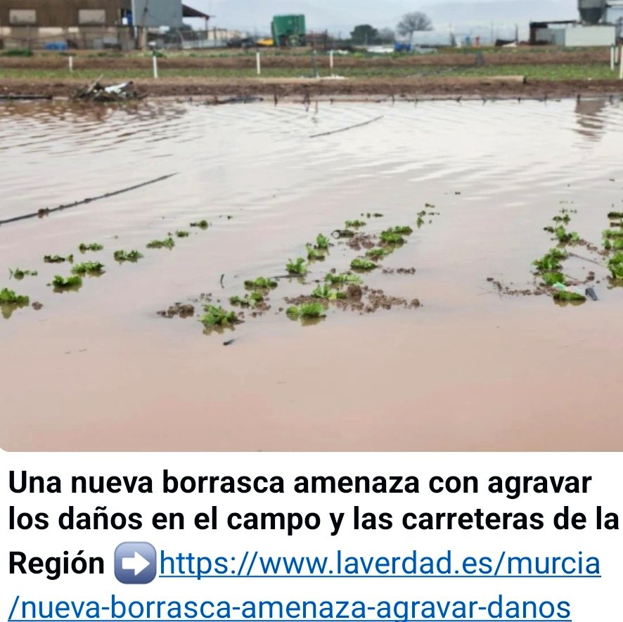 Nuestro Mar Menor tweet media