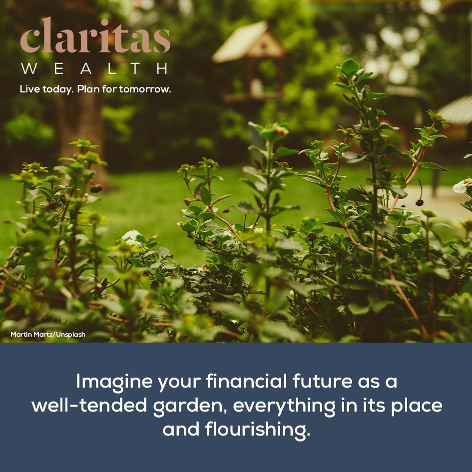 Imagine your financial future as a well-tended garden, everything in its place and flourishing.
🌺🌿

We help you cultivate your wealth so you can enjoy the fruits of your labour.

Ready to grow together?