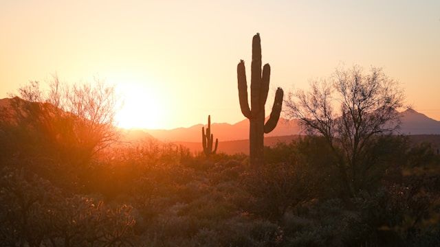 ☀️ Texas Charm, Gulf Coast Fun, and More! 🍻 - mailchi.mp/budgettravel.c…