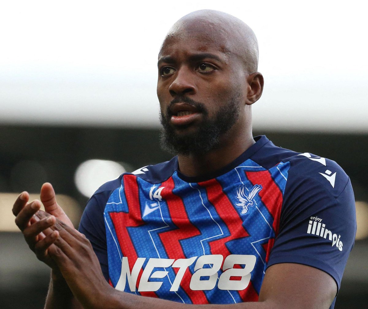 (fan) Frank 🧠🇾🇪 tweet media