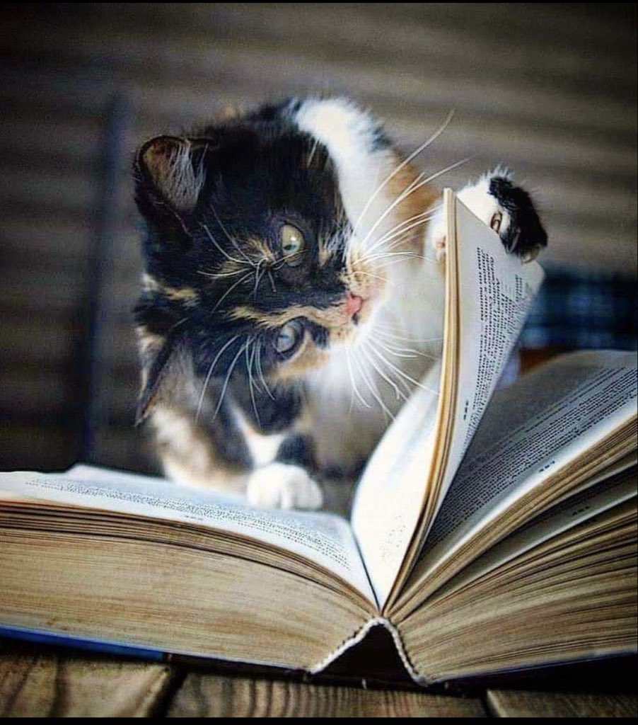 Lire 📕📖📚….
Lire me rend émotif,cultivé, sensible, rieur, paradoxal, joyeux, passionné, frissonnant, libre, et vivant.