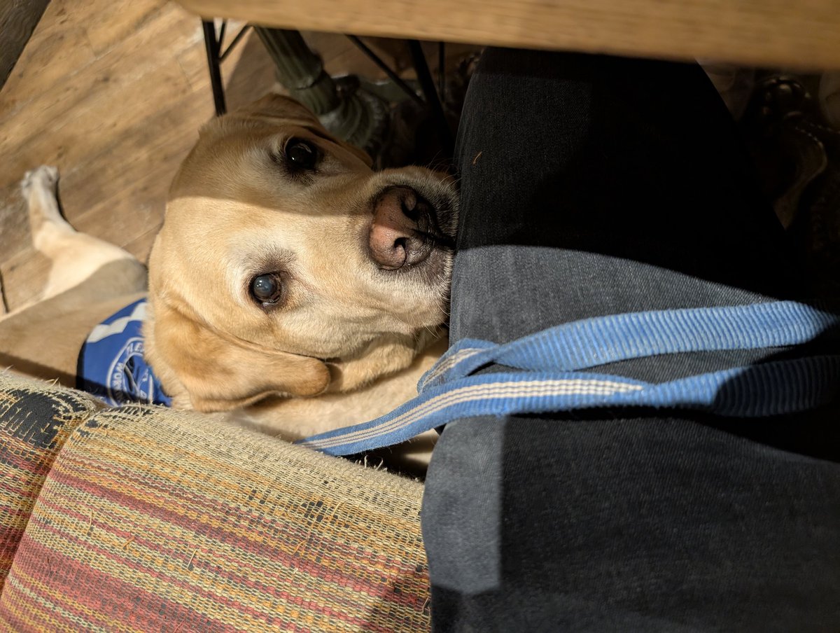 Hi........
