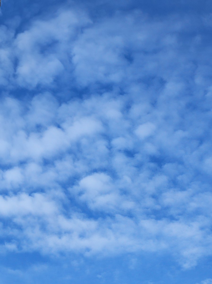 LOlivierFichant's tweet photo. These are NOT NATURAL CLOUDS. They are MANMADE. 

#manmadeclouds 
#fakeclouds https://t.co/tQhBhZhwKD