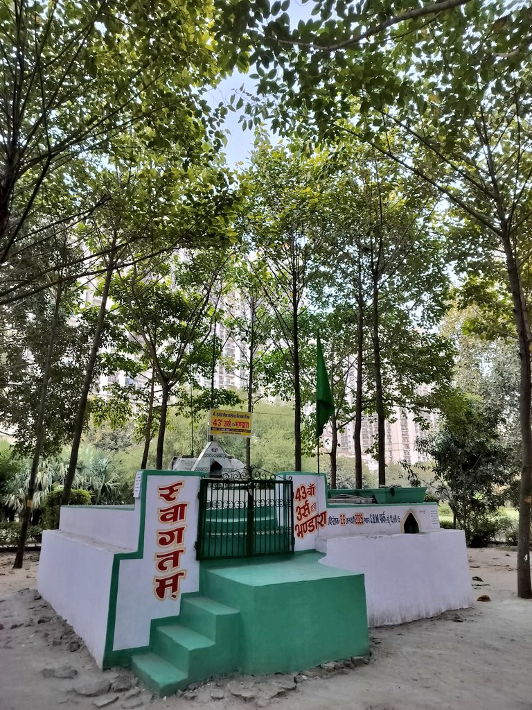 Sights of &amp; from the DDA Park, Moti Nagar aka Green Land, on Shivaji Marg! It is a well maintained park with some stunning trees standing tall!