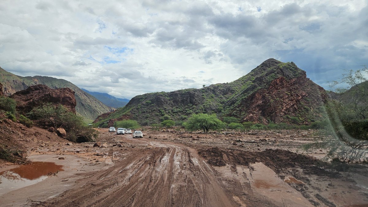 #MarioErnestoPeña tweet media