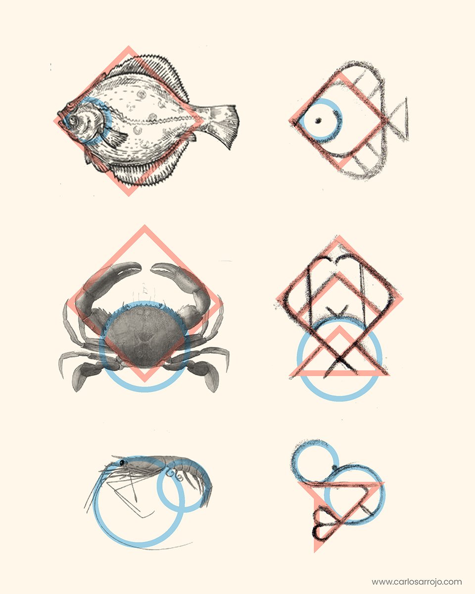 Arrojo_dibuja's tweet image. 🐟🦀🦐 Geometric synthesis process.

#draw #design #illustration #geometric #lineart #art