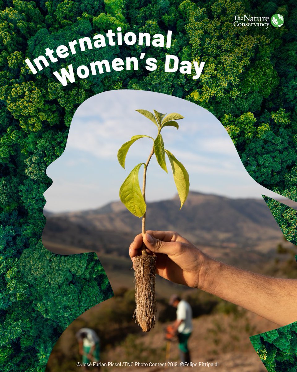Martha Stewart (@marthastewart) on Twitter photo On this International Women’s Day, as the world celebrates the voices and achievements of women around the world, I’m joining <a href="/nature_org/">The Nature Conservancy</a> in celebrating all the forces of nature out there who are helping to create a future where people and nature thrive. #womenfindaway On this International Women’s Day, as the world celebrates the voices and achievements of women around the world, I’m joining <a href="/nature_org/">The Nature Conservancy</a> in celebrating all the forces of nature out there who are helping to create a future where people and nature thrive. #womenfindaway