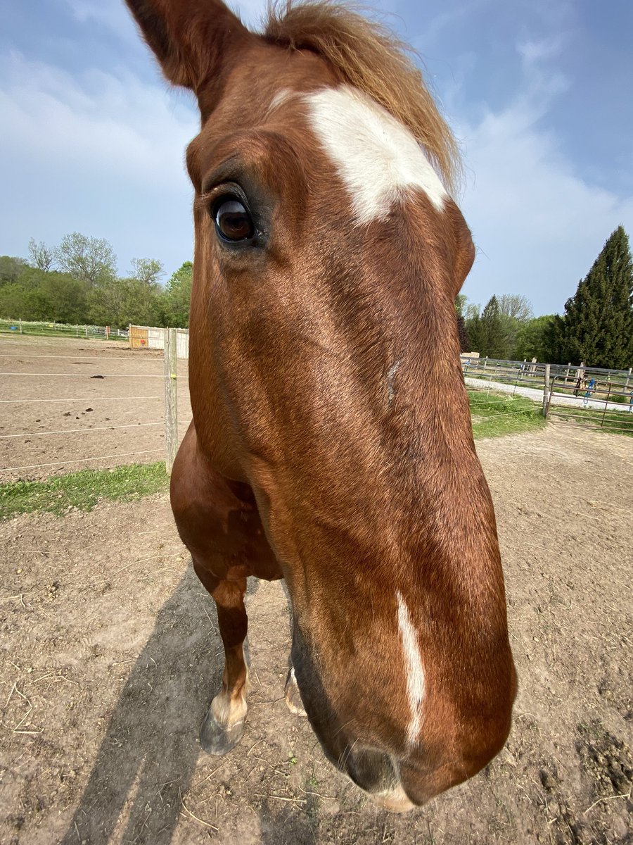 KingPierce19's tweet image. 