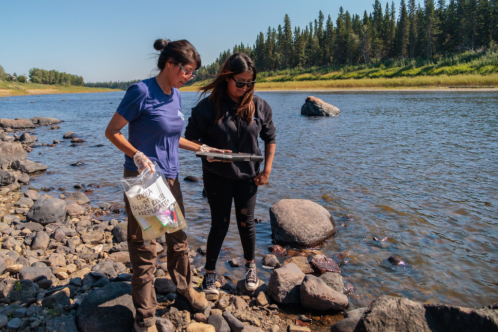 Land Needs Guardians tweet media
