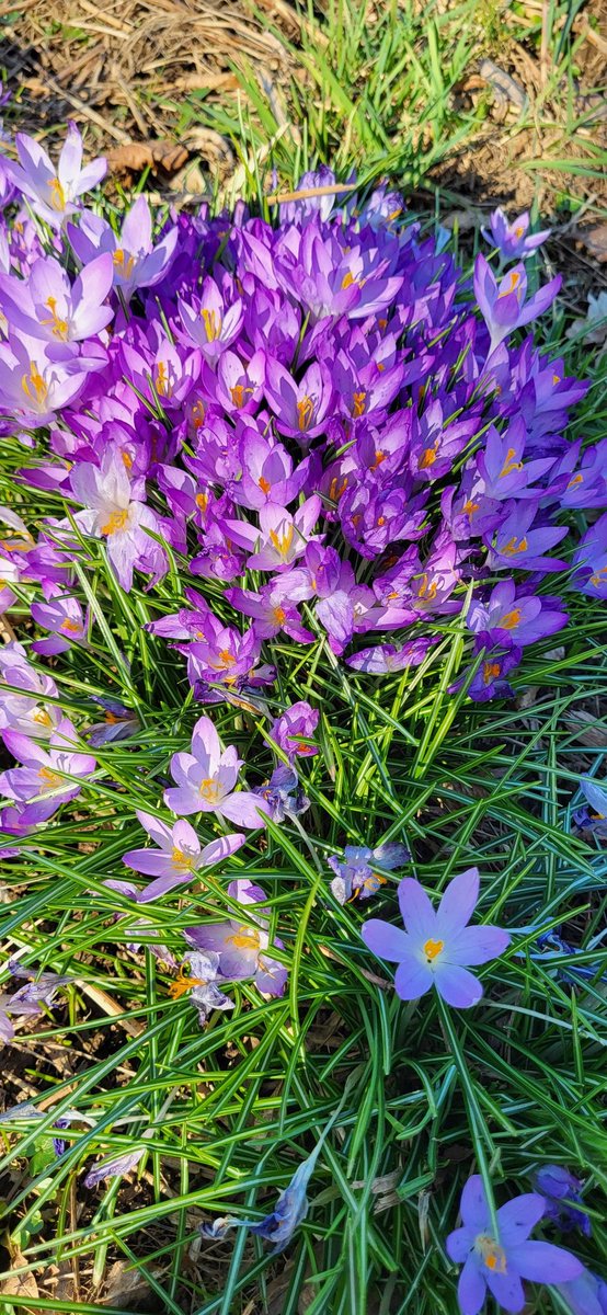 Весна пришла!