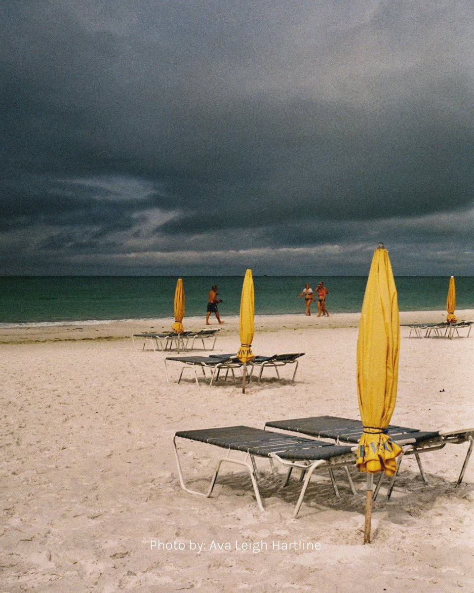 This Women’s History Month, we’re spotlighting 10 incredible photographers who are redefining visual storytelling. Capturing stories only they can tell, their work is a must-see: nationsphotolab.com/blogs/inspirat…

#WomensHistoryMonth #WomenPhotographers #PhotographyCommunity