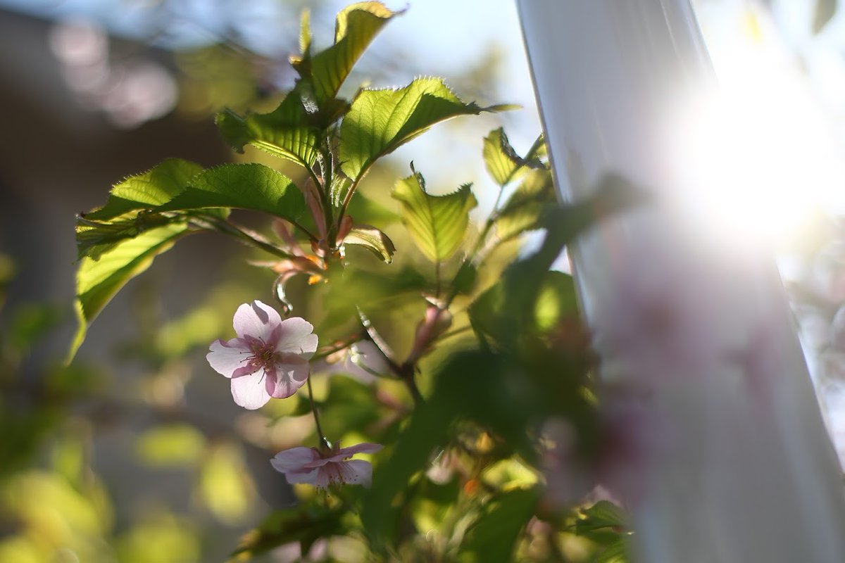 自分だけの人生を作っていきましょうね
一緒に歌ってくれる人がいなくても