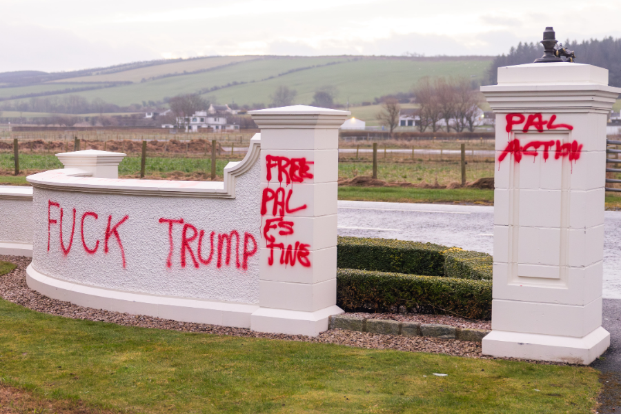 Molly Ploofkins tweet media