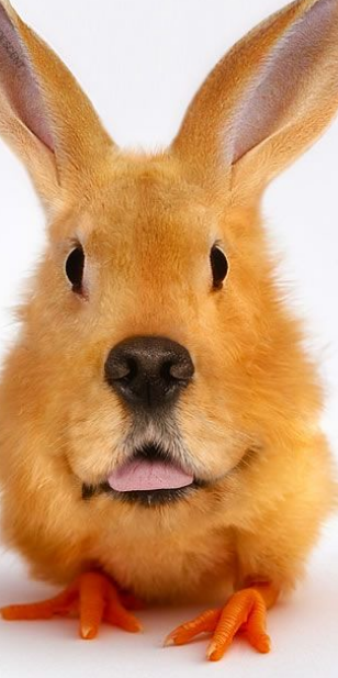 Delta6870 tweet media