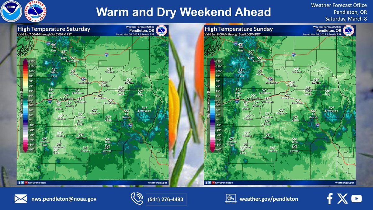 NWSPendleton's tweet image. The copier is stuck! Similar high temperatures across the region today and Sunday, with highs reaching into the mid-60s across Central Oregon, Blue Mountain foothills, and the Lower Columbia Basin - which is about 10 degrees above normal. #wawx #orwx #MeteorologicalSpring