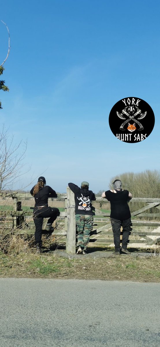 YorkHuntSabs's tweet photo. 🦊⚠️ MIDDLETON AND DERWENT HUNT ARE OUT NOW ⚠️🦊

Middleton Hunt are currently out with Derwent Hunt for their joint meet at Westfield Farm in Norton, Malton. 

Shout out to all the female sabs out today for international women's day, three of ours are currently looking over the meet awaiting them setting off. 

If you have any sightings of the hunt, drop us a message.

Full report to follow 🦊

If you can spare a few quid, we'd be super grateful for any donations towards fuel costs, PayPal @jorvikhuntsabs 🖤