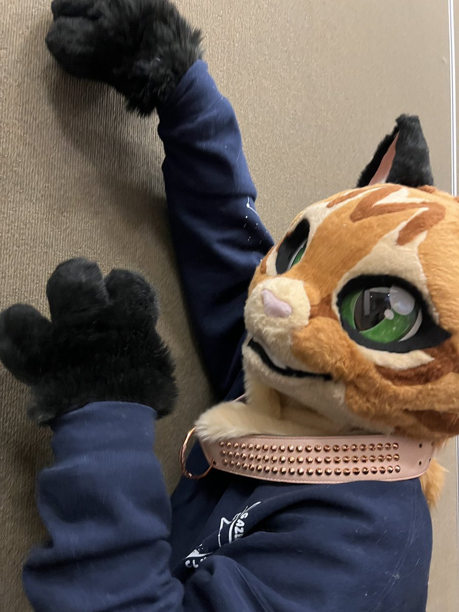 Mars!! π FWA25 (@kitteninorbit) on Twitter photo Donβt mind me, I just need to sharpen my claws on this nice wall here ^-^
Having a purr-fect time at <a href="/BewhiskeredCon/">Bewhiskered 2026: Whisker World Arcade</a> so far! #bewhiskered #bws #bws25 #fursuit #fursuitfriday #catfurry Donβt mind me, I just need to sharpen my claws on this nice wall here ^-^
Having a purr-fect time at <a href="/BewhiskeredCon/">Bewhiskered 2026: Whisker World Arcade</a> so far! #bewhiskered #bws #bws25 #fursuit #fursuitfriday #catfurry