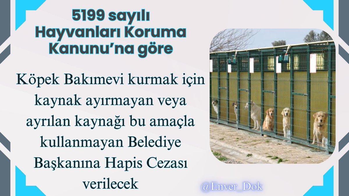 5199 sayılı Hayvanları Koruma Kanunu’nun “Yerel yönetimlerin sorumluluğu” başlıklı ek 1. maddesi uyarınca; hayvan bakımevi kurulması için gerekli kaynağı ayırmayan Belediye Başkanı ve Meclis Üyeleri ile ayrılan kaynağı hayvan bakımevi kurması, sahipsiz hayvanların toplanması,