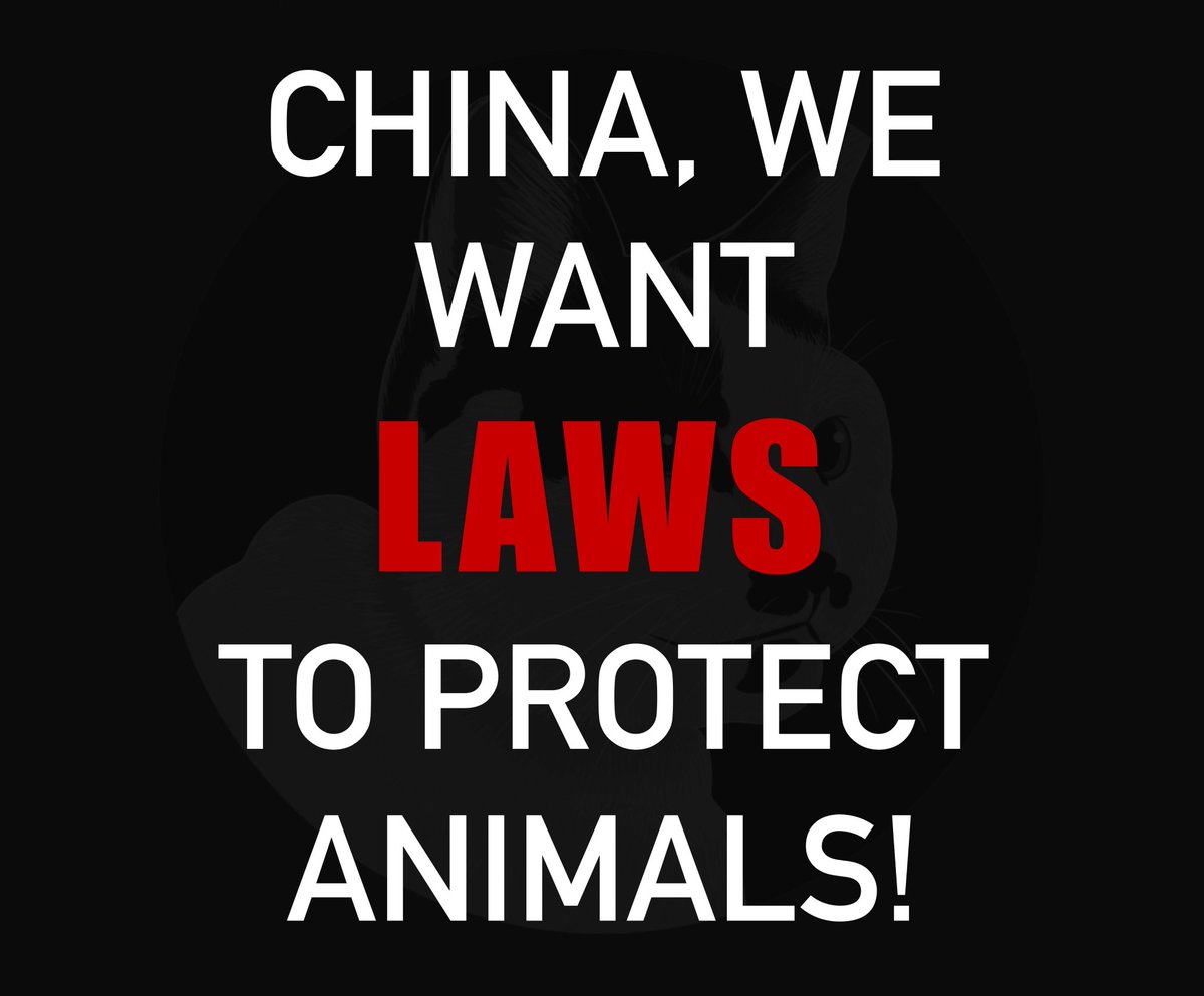 <a href="/LadyFreethinker/">Lady Freethinker</a> Nothing negative about China surprises me. 
I feel sorry for the brave Chinese animal welfare activists trying to improve animals lives in China. They need all the help they can get.