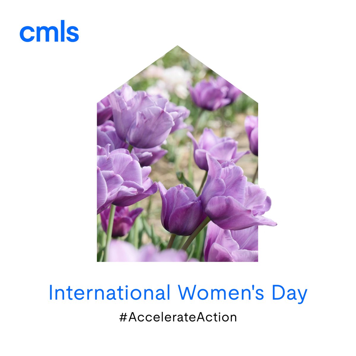 This International Women's Day, we recognize the achievements of women and celebrate the diverse voices shaping our world. Together, we #AccelerateAction. 💜  #IWD2025