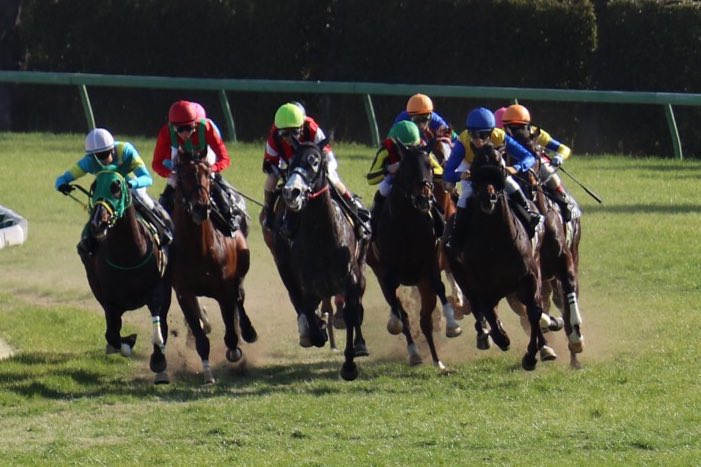 aipharoah2's tweet photo. 3月9日中央競馬2場(中山/阪神)全レースAI指数公開しました

🦄全レース基準オッズ付き🦄

#Pharoah君 は土曜日絶好のスタート！明日もこの調子で週次逃げ切り、1月の負債を取り戻す！

貴方の予想を勝てる予想に一段上げる前日予想は以下から👇
▶️https://t.co/Cez7oVAAzI

#競馬予想 #中央競馬 https://t.co/mpNUfWGaxG