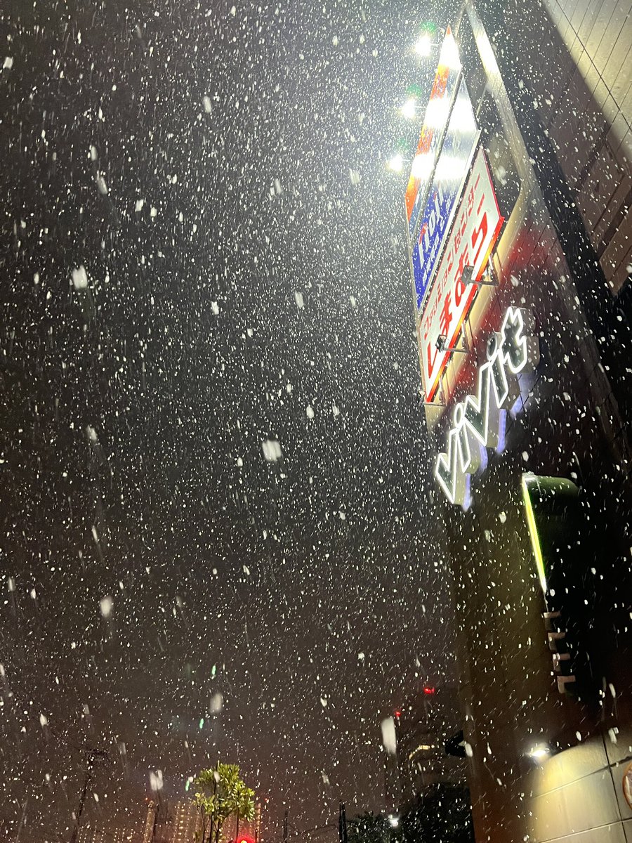 CHUMAHHA's tweet photo. 雪が降ってる。ここまでしっかり降ったの見るの今年初。 https://t.co/OxJoPLBpvQ