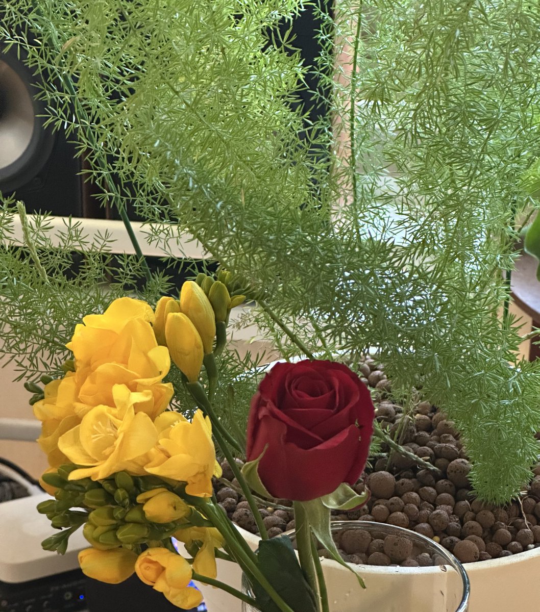 다시로 tweet media