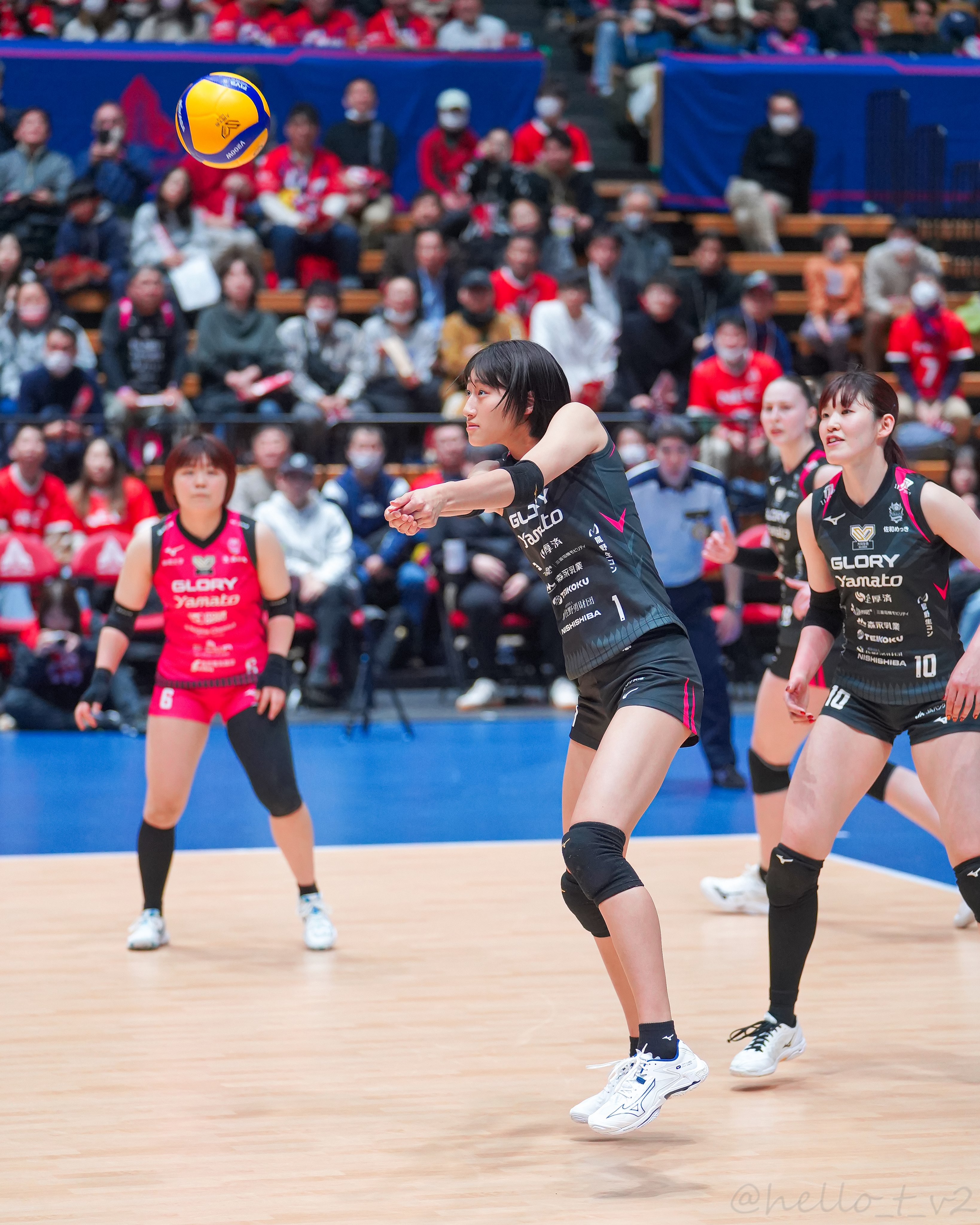 全日本女子バレー秋本美空選手直筆サイン色紙 秋本美空選手 直筆サイン色紙 - メルカリ